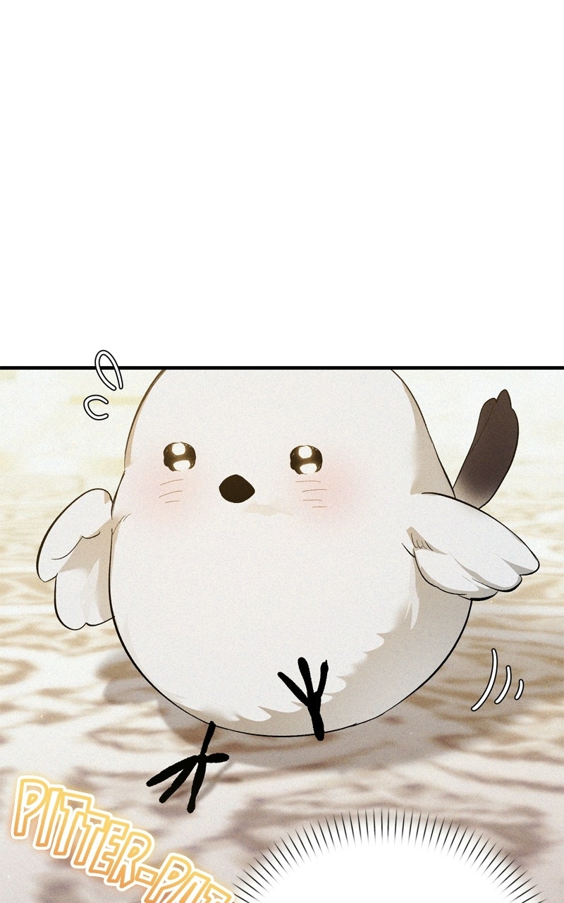 Reborn as a Hatchling Ep. 5 - Peep Peep page 10 - 
