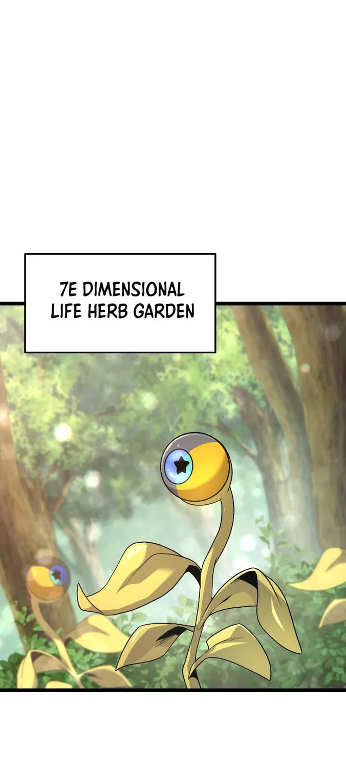Reclusive Wizard Chapter 1 page 134 - 