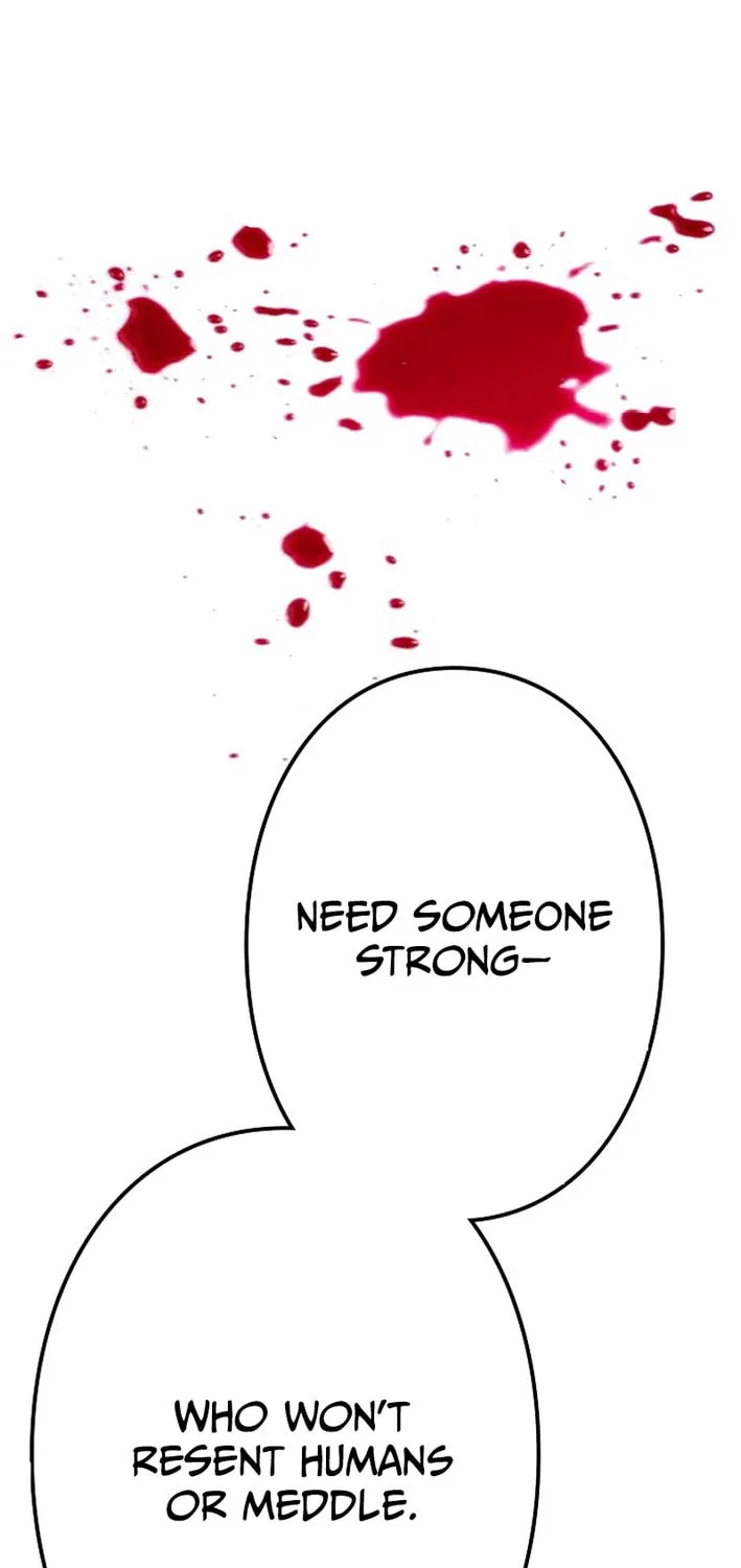 Reclusive Wizard Chapter 17 page 72 - 
