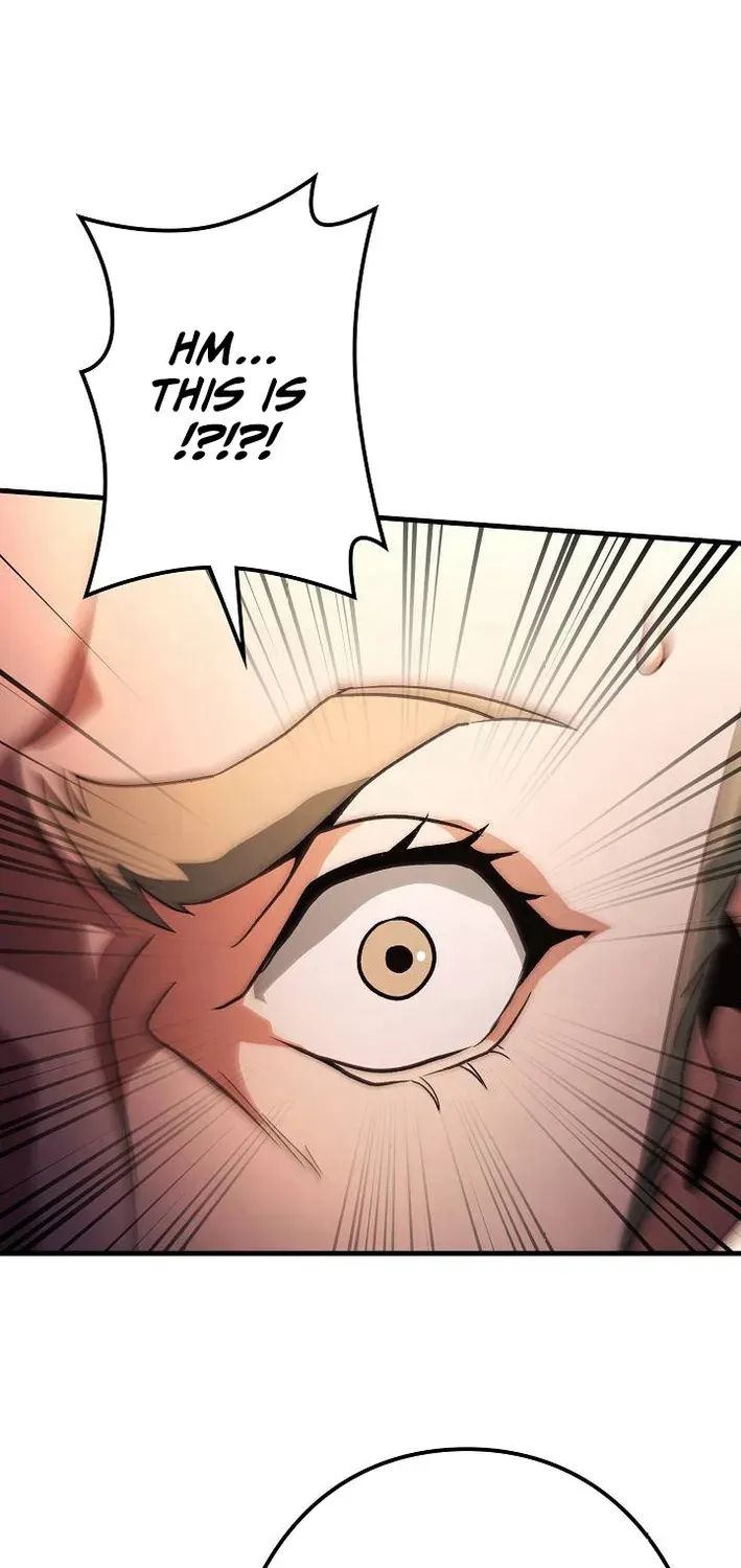 Reclusive Wizard Chapter 41 page 85 - 