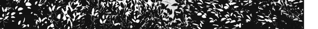 Record of Grancrest War Chapter 46 page 8 - 