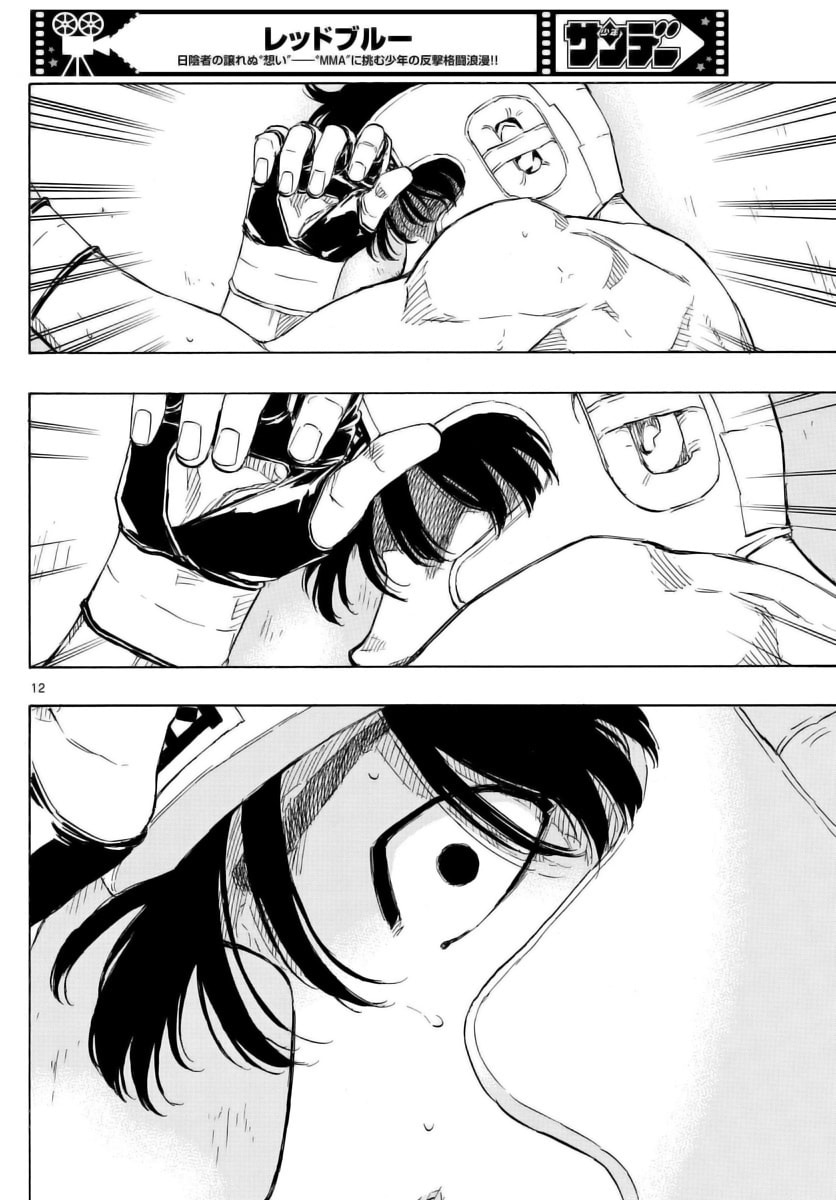 Red Blue Chapter 56 page 12 - 