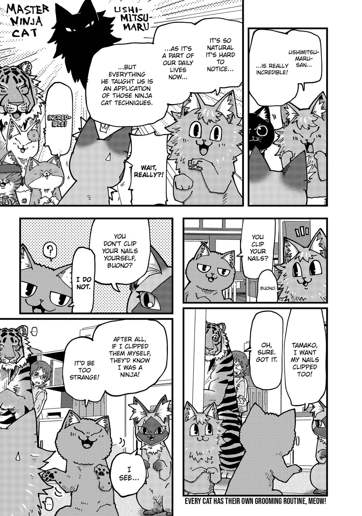 Red Cat Ramen Chapter 209 page 13 - 