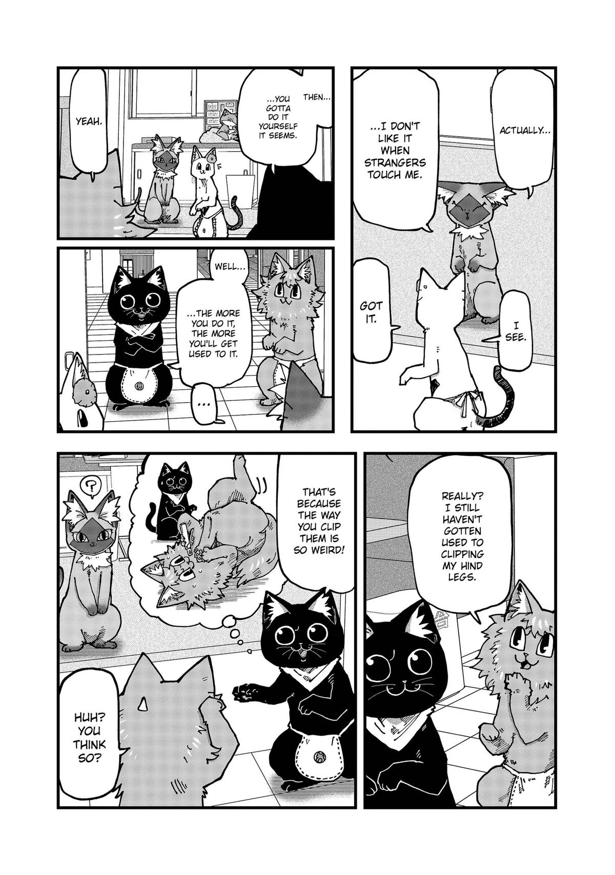 Red Cat Ramen Chapter 209 page 10 - 