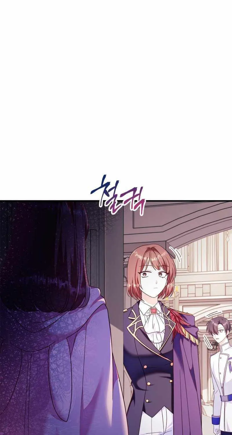 Regressor instructional manual Chapter 53 page 115 - 