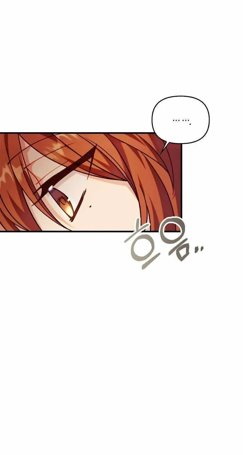 Regressor instructional manual Chapter 55 page 101 - 