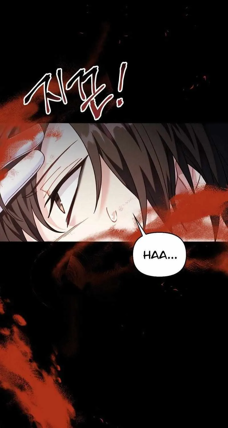 Regressor instructional manual Chapter 56 page 69 - 