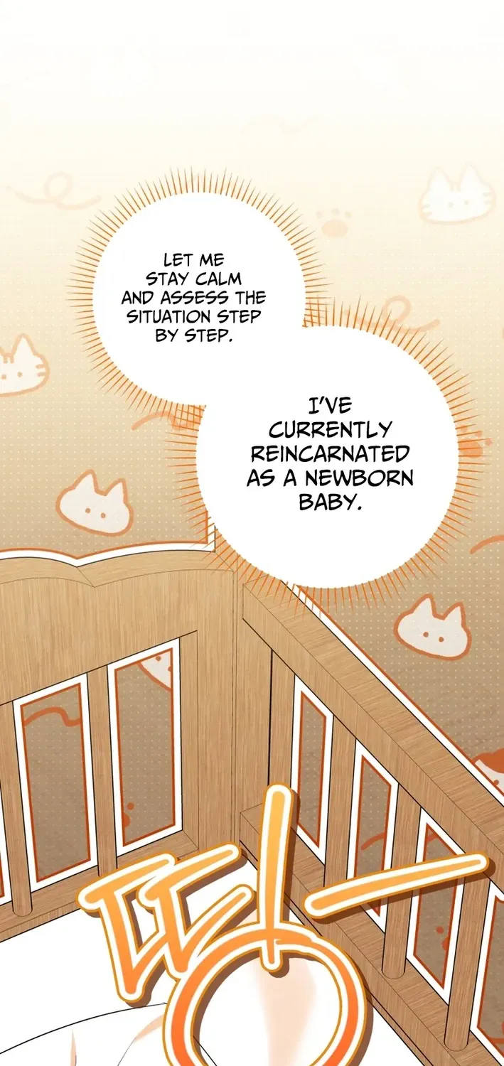 Reincarnated as an Abandoned Baby Princess Chapter 2 page 2 - 