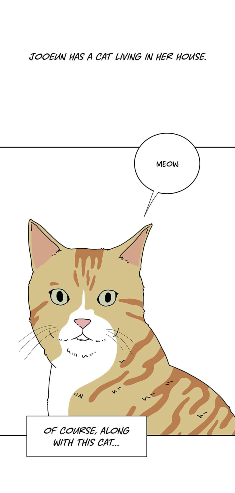 Relationship Guidelines Chapter 72 page 2 - 