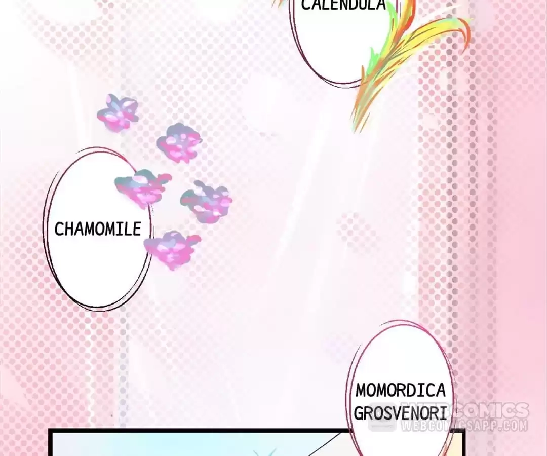 Reversal Path Of Miracle Chapter 112 page 29 - 