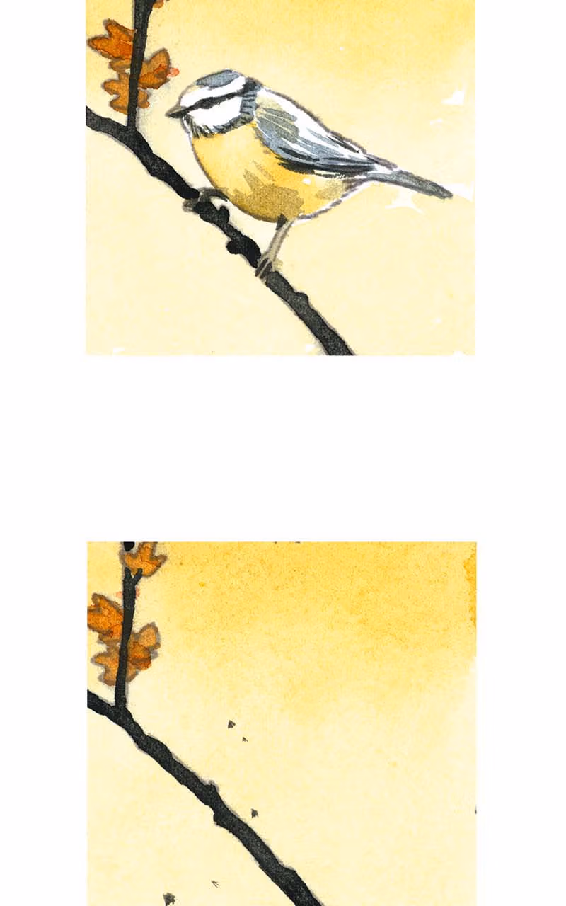 Rewriting Extinction Chapter 0.6 page 13 - 