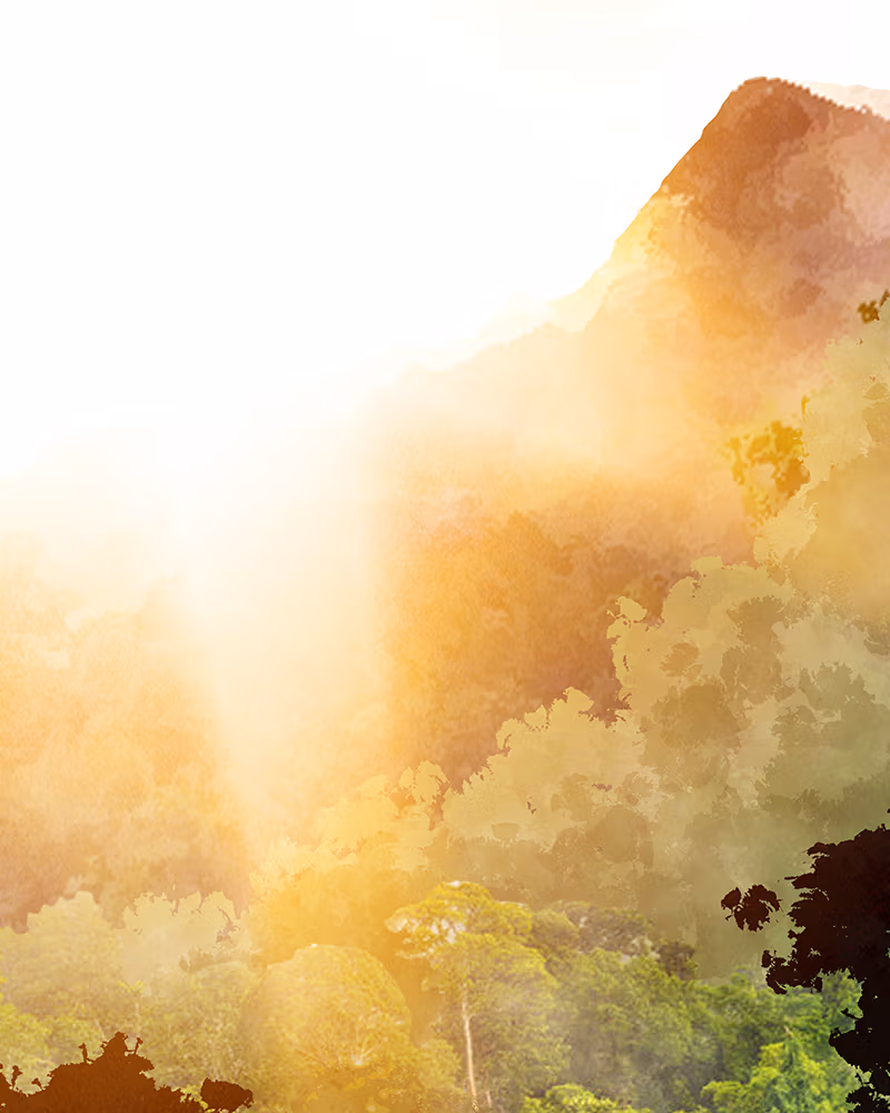 Rewriting Extinction Chapter 0.901 page 62 - 