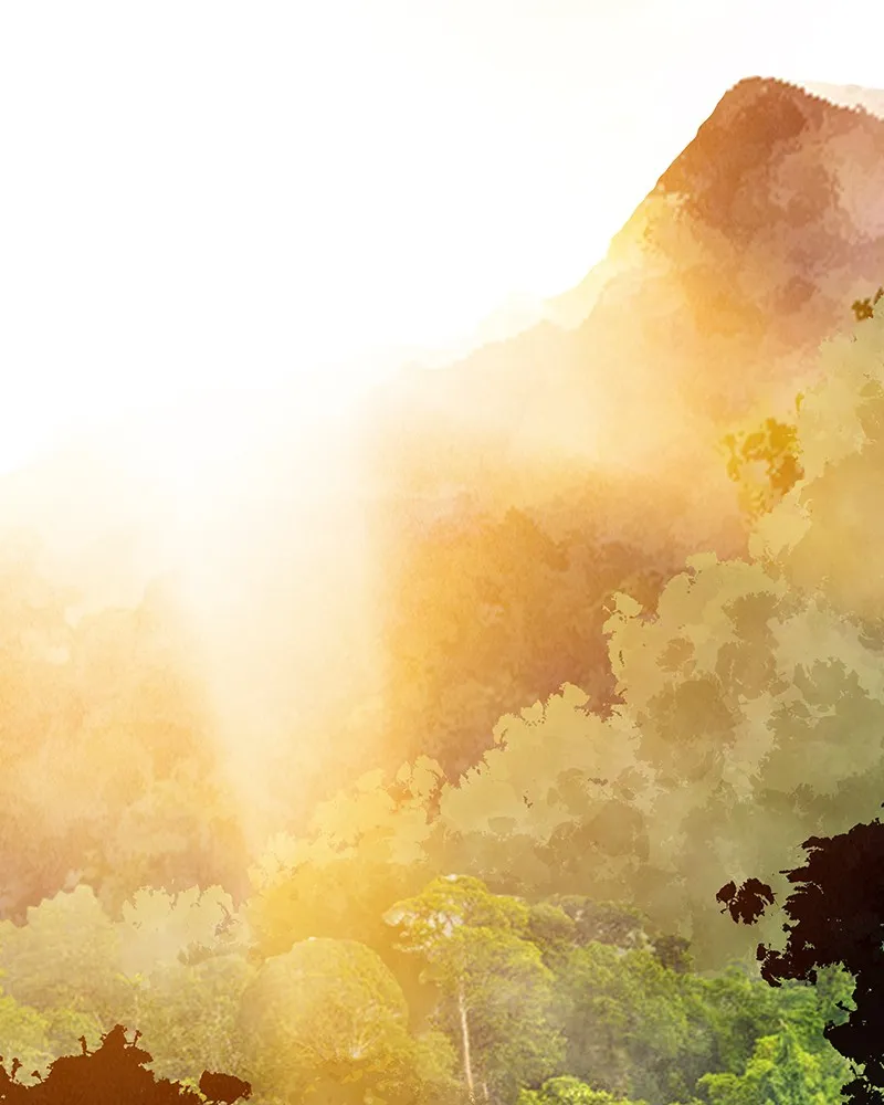 Rewriting Extinction Chapter 10 page 62 - 