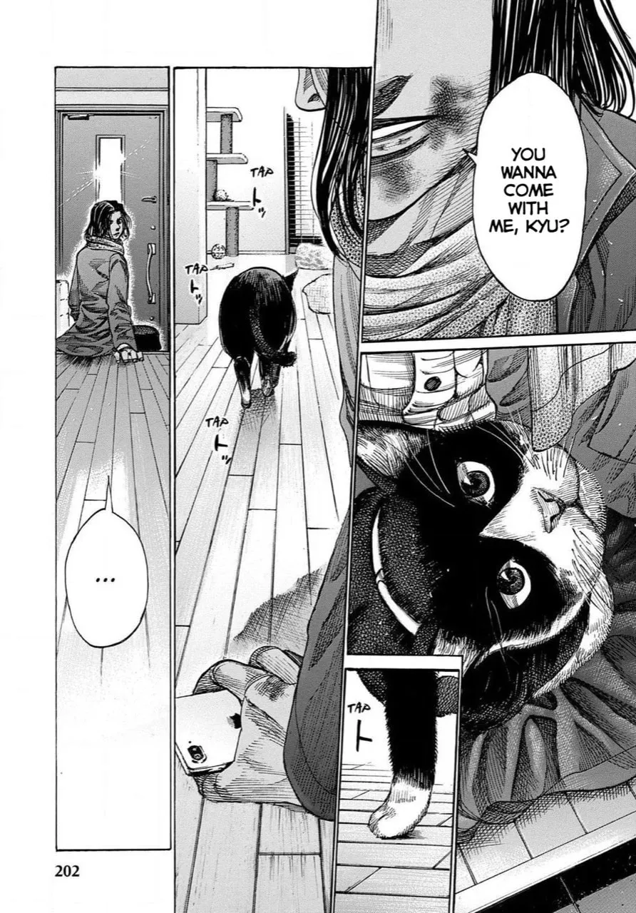 Rikudou Chapter 174 page 17 - 