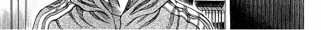 Rikudou Chapter 75 page 25 - 