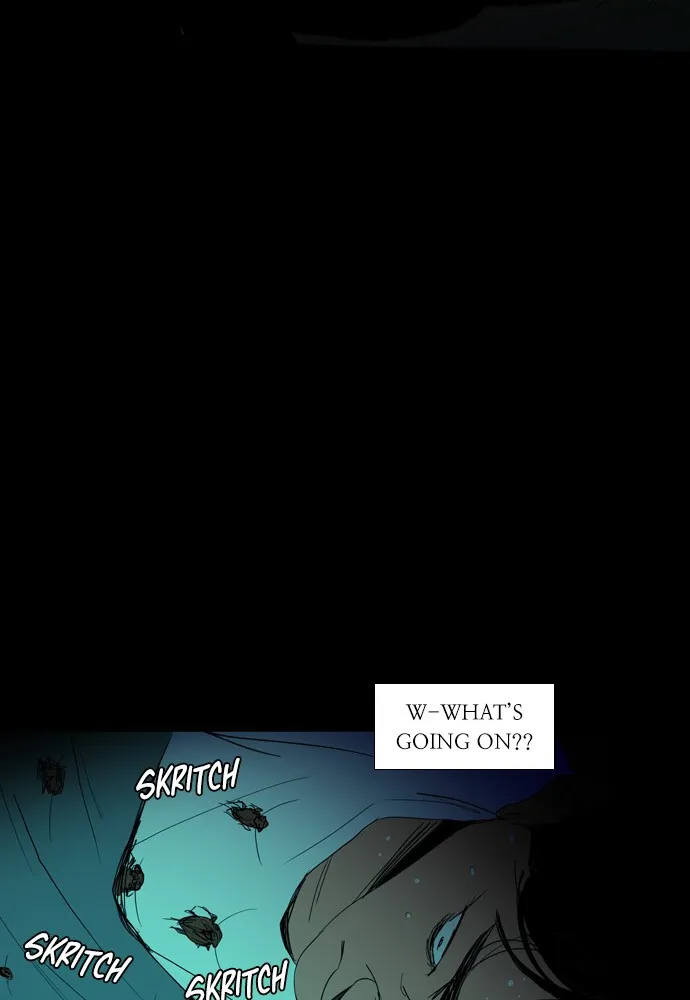 Roach Chapter 1 page 104 - 