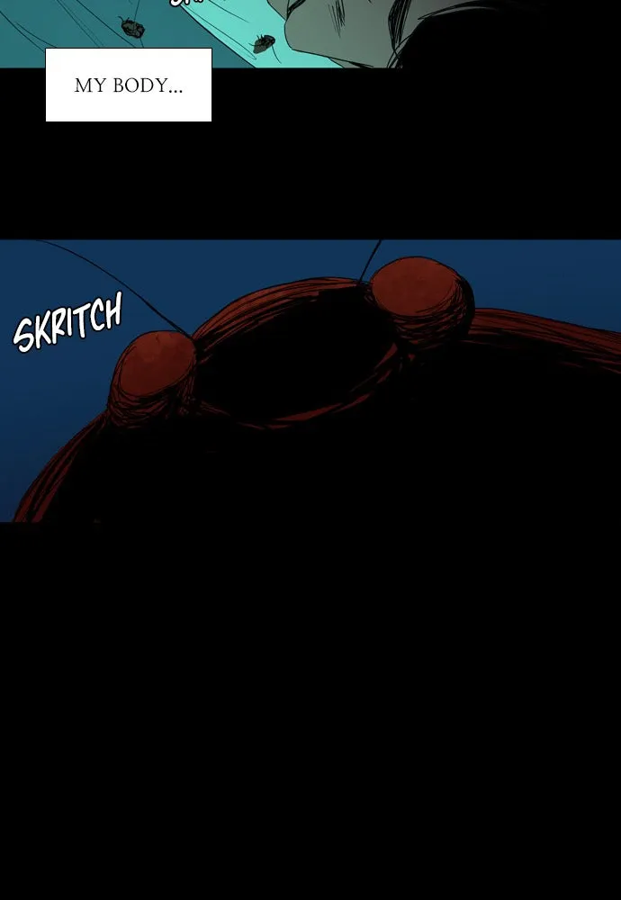 Roach Chapter 1 page 105 - 