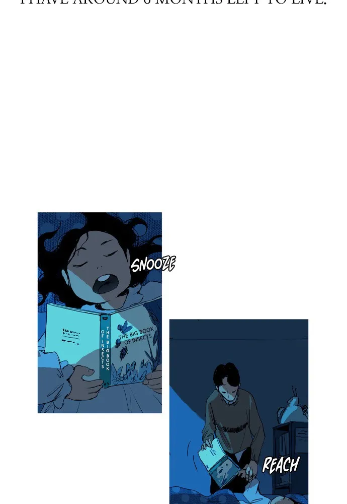 Roach Chapter 1 page 72 - 