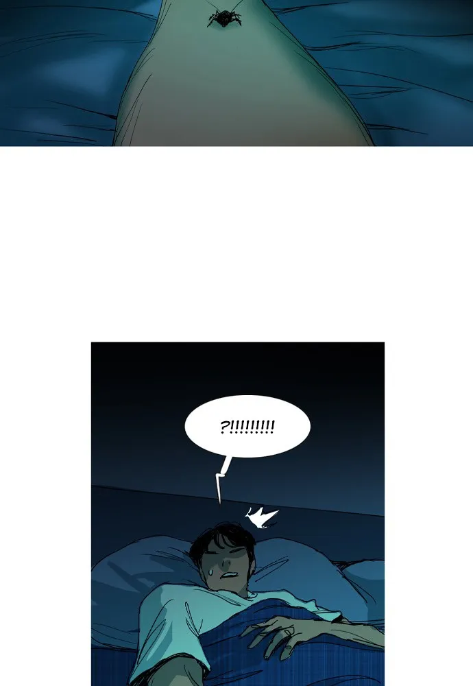 Roach Chapter 1 page 100 - 