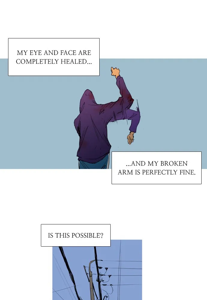 Roach Chapter 3 page 73 - 