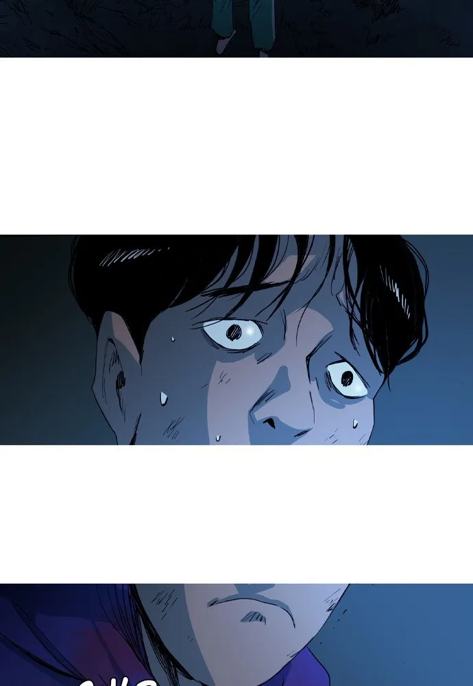 Roach Chapter 4 page 71 - 