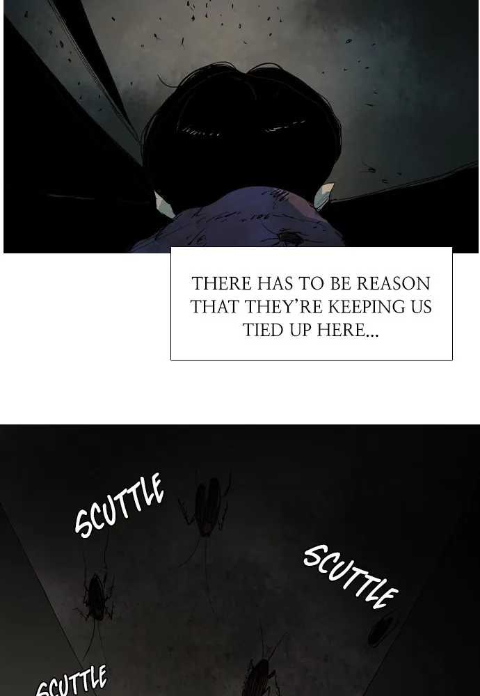 Roach Chapter 7 page 58 - 