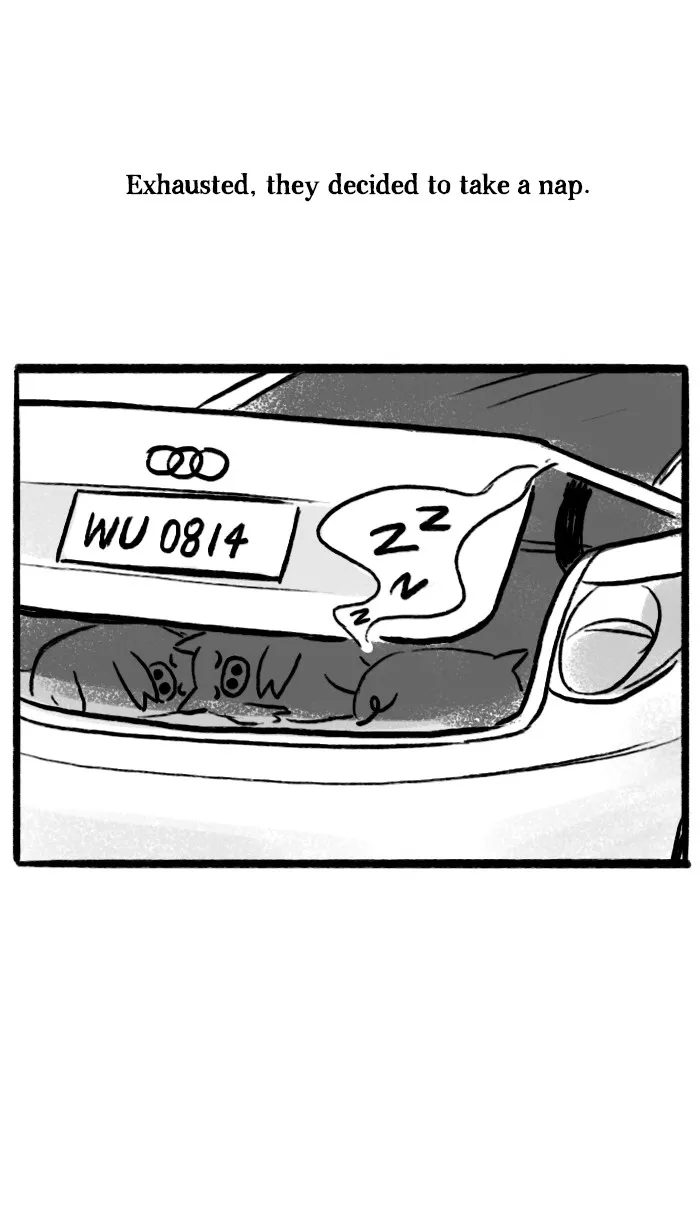 Roar Street Journal Chapter 14 page 14 - 
