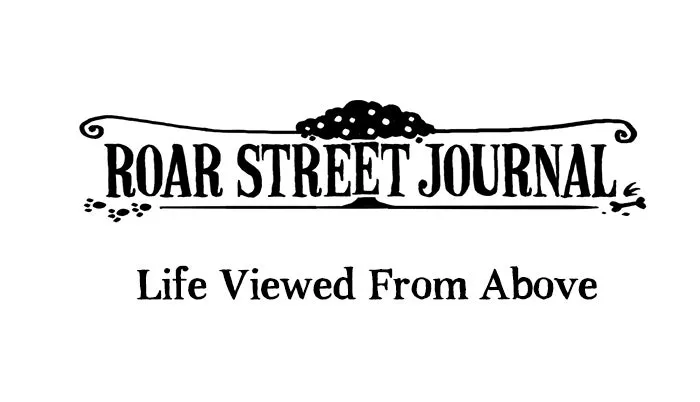 Roar Street Journal Chapter 3 page 1 - 