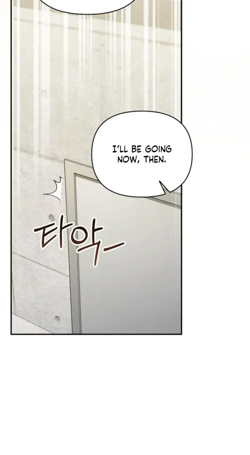 Romance by chance Chapter 25 page 46 - 