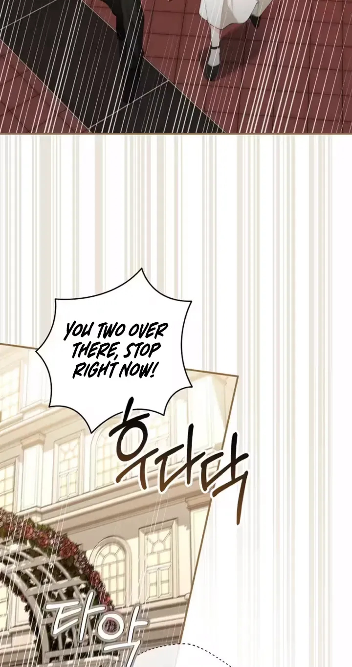 Romance by chance Chapter 29 page 5 - 