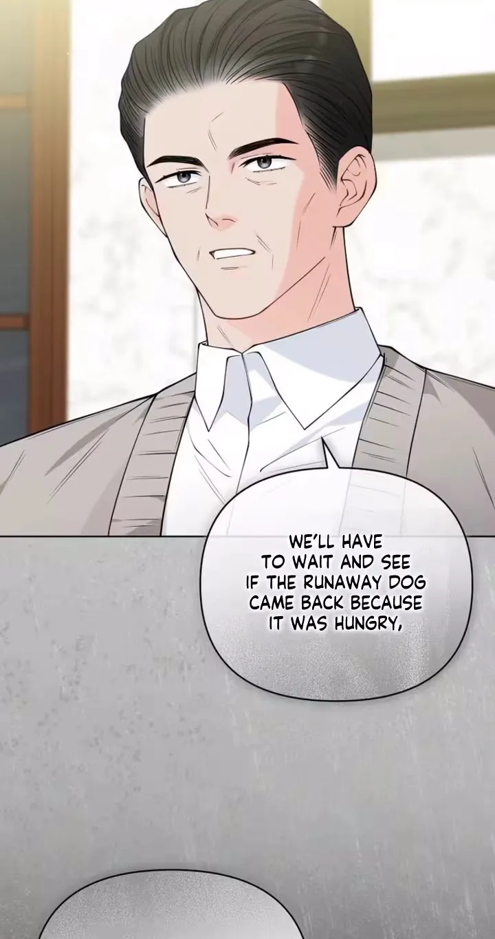 Romance by chance Chapter 41 page 42 - 
