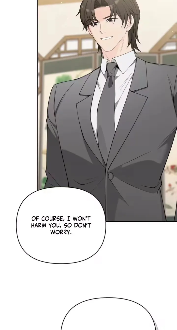 Romance by chance Chapter 42 page 5 - 