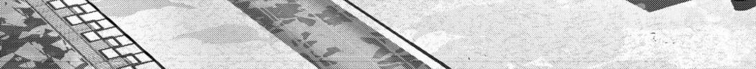 Ron Kamonohashi: Deranged Detective Chapter 100 page 32 - 