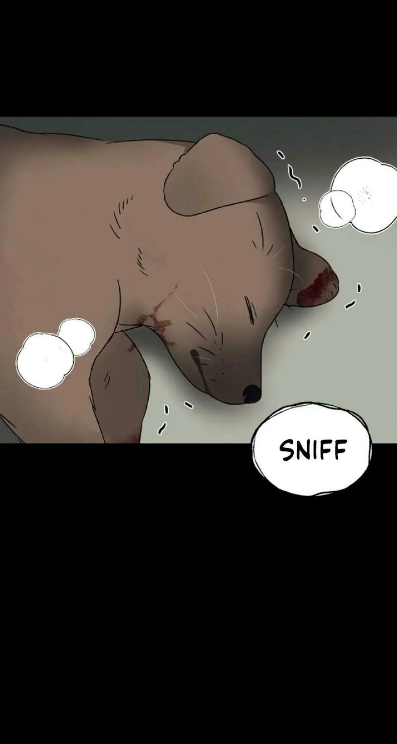 Round Chapter 2 page 46 - 
