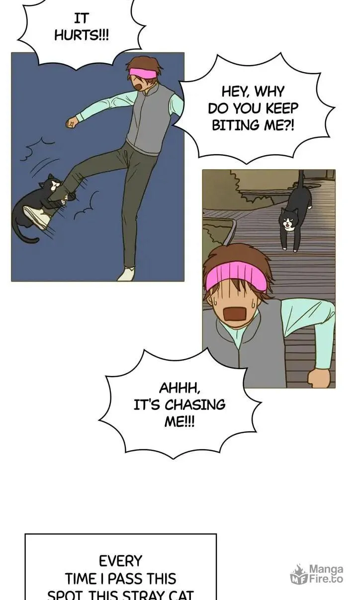 Running After a Breakup Chapter 18 page 5 - 