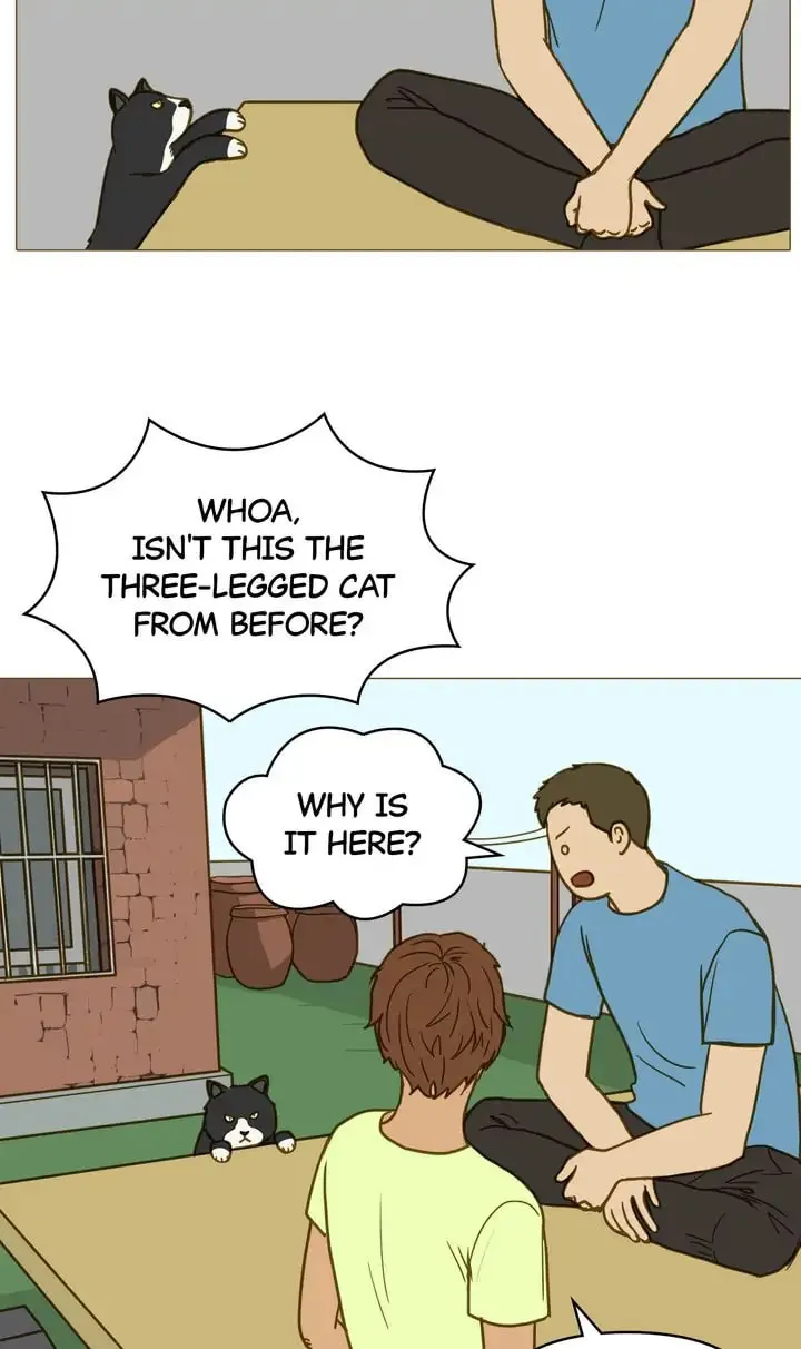 Running After a Breakup Chapter 31 page 14 - 