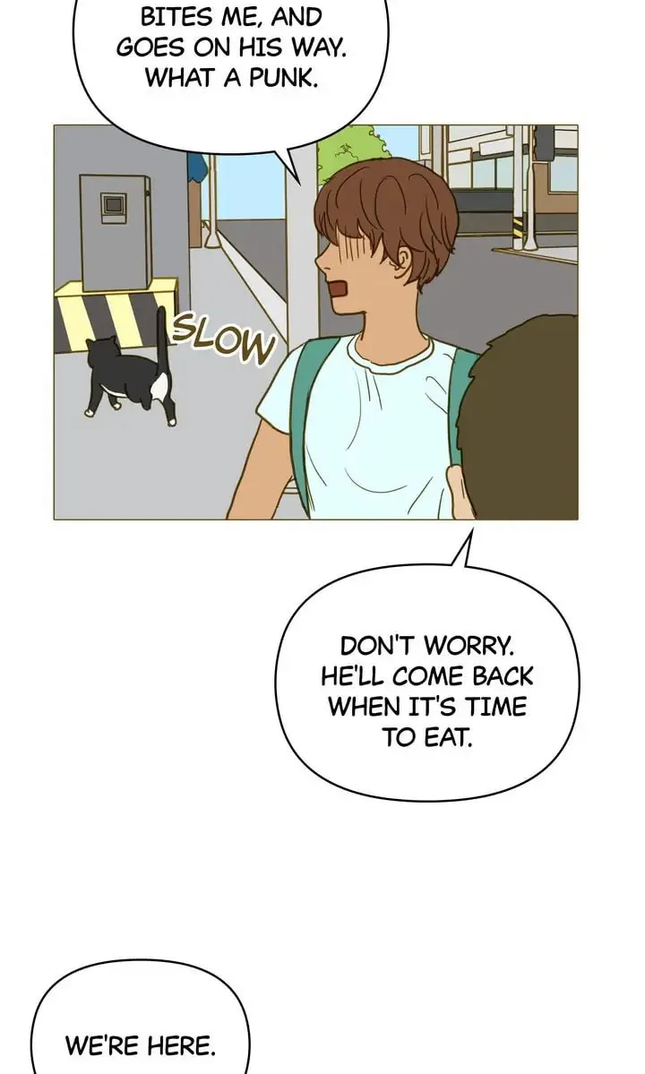 Running After a Breakup Chapter 61 page 37 - 