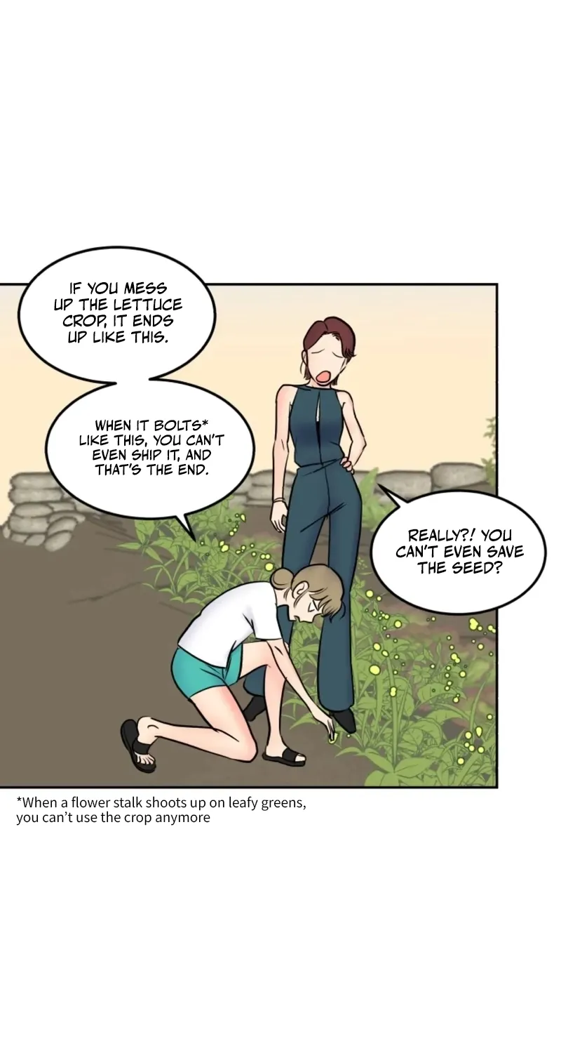 Rural Princess Chapter 17 page 24 - 