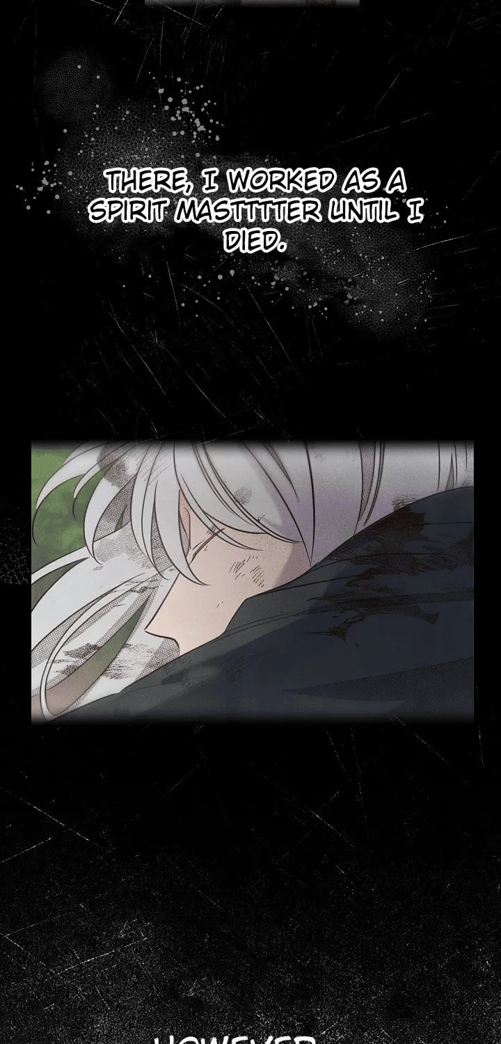 S-Class Spirit Master's Taming Diary Chapter 1 page 22 - 