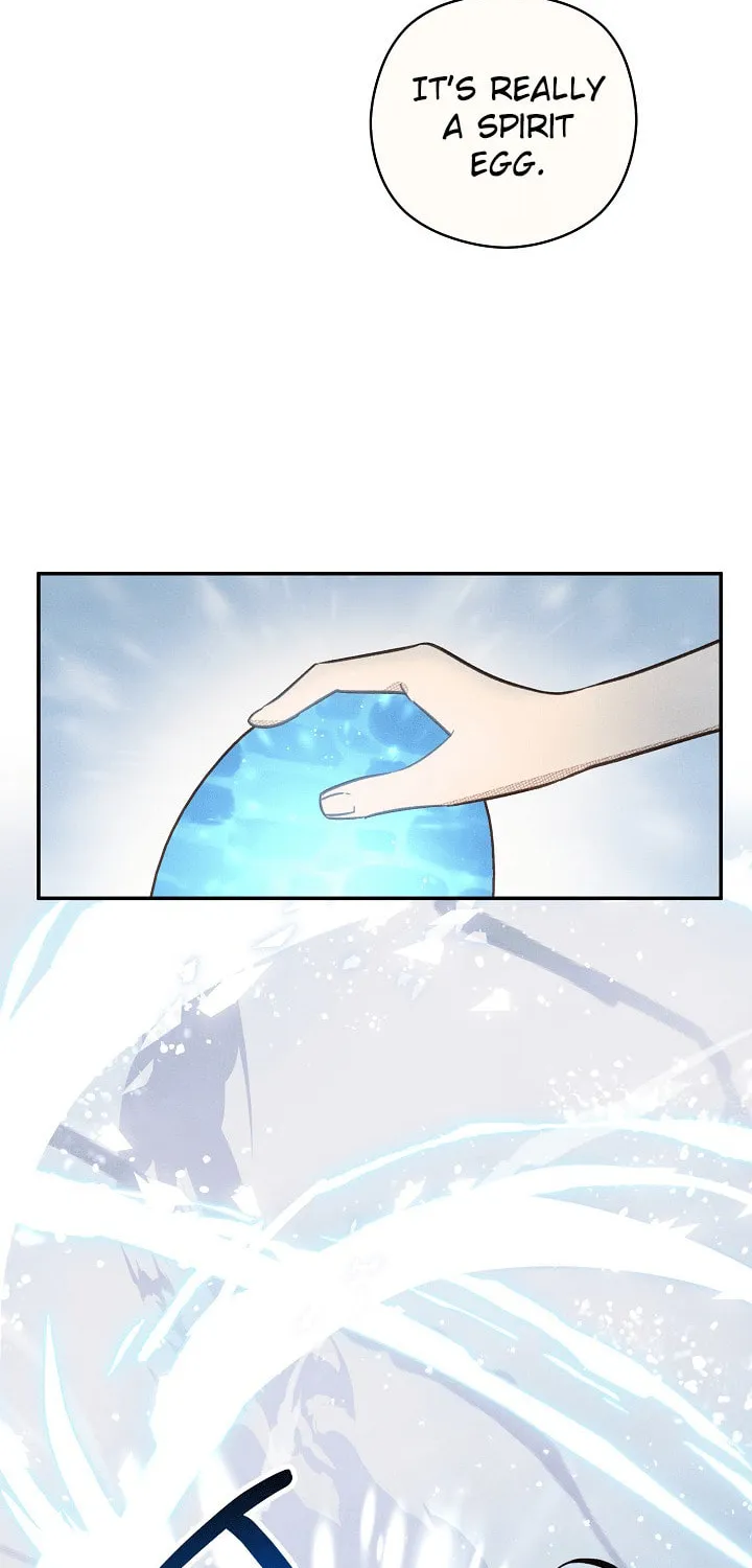 S-Class Spirit Master's Taming Diary Chapter 2 page 9 - 