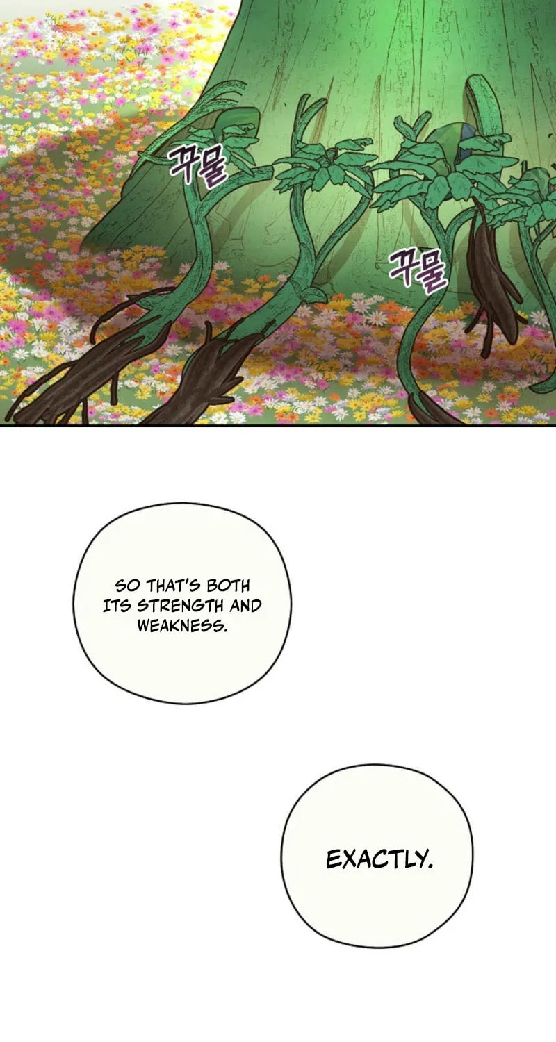 S-Class Spirit Master's Taming Diary Chapter 38 page 13 - 