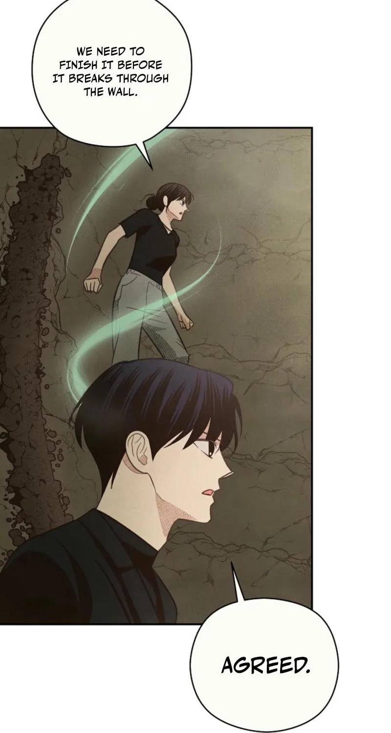 S-Class Spirit Master's Taming Diary Chapter 38 page 47 - 