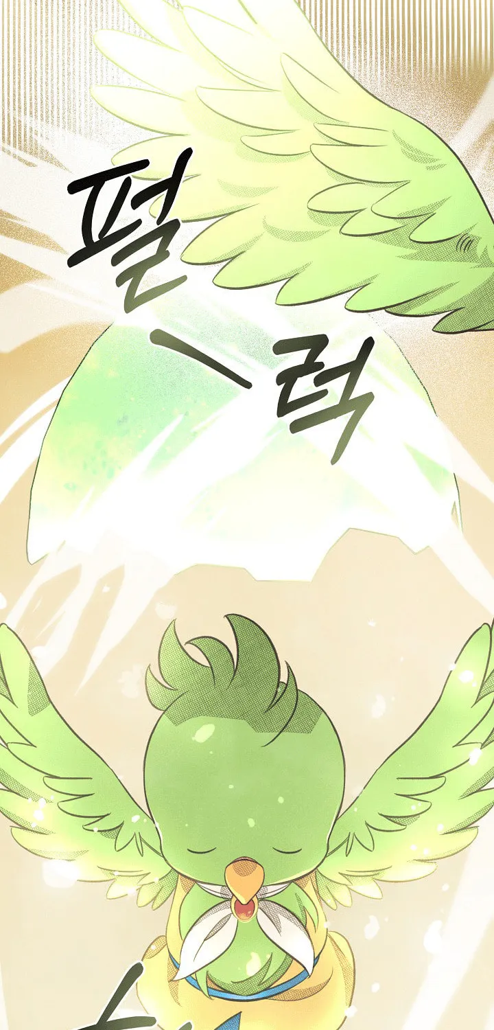 S-Class Spirit Master's Taming Diary Chapter 4 page 11 - 