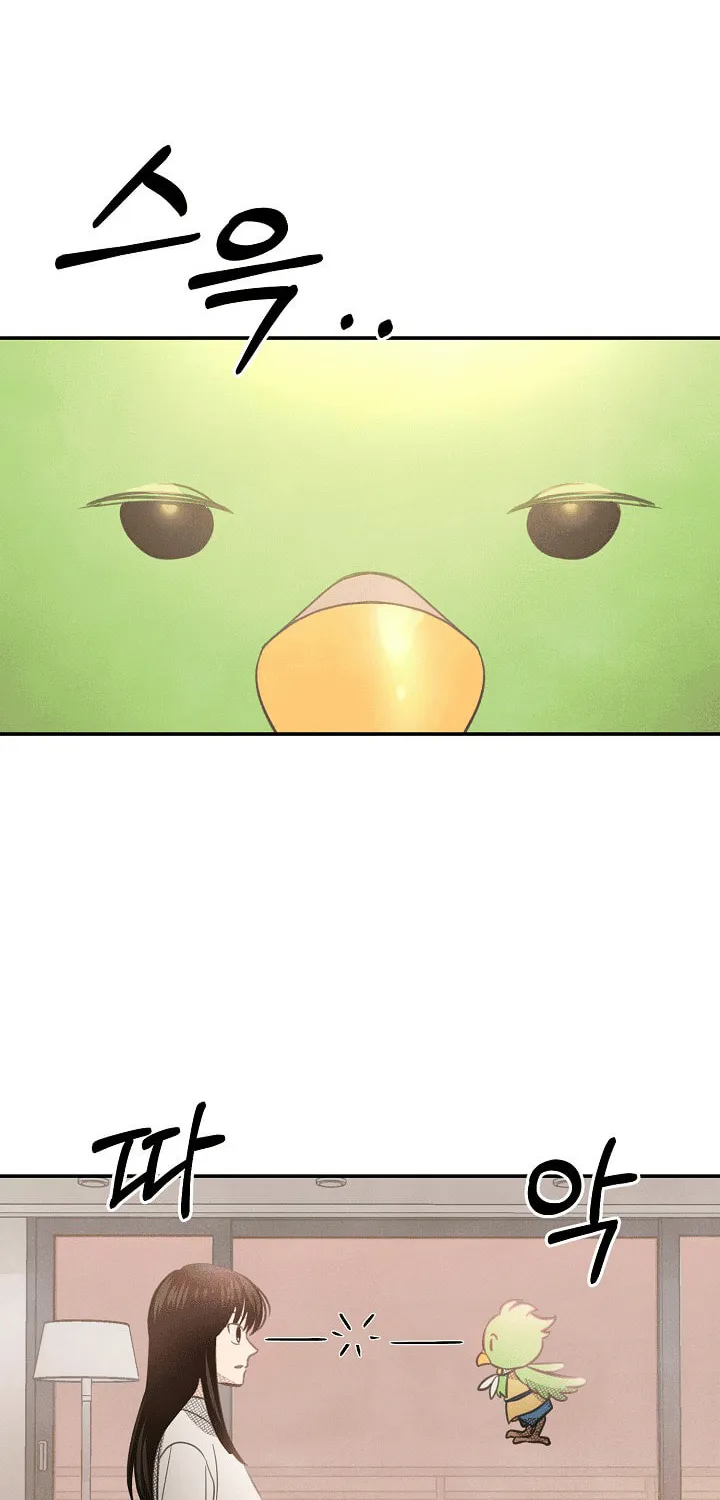 S-Class Spirit Master's Taming Diary Chapter 4 page 13 - 