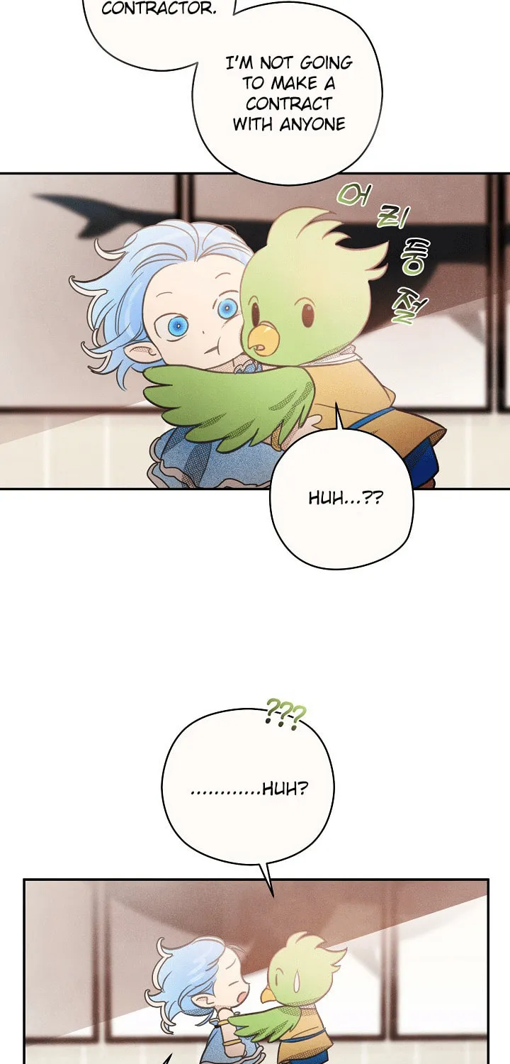 S-Class Spirit Master's Taming Diary Chapter 4 page 17 - 