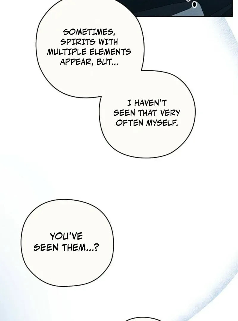 S-Class Spirit Master's Taming Diary Chapter 46 page 71 - 