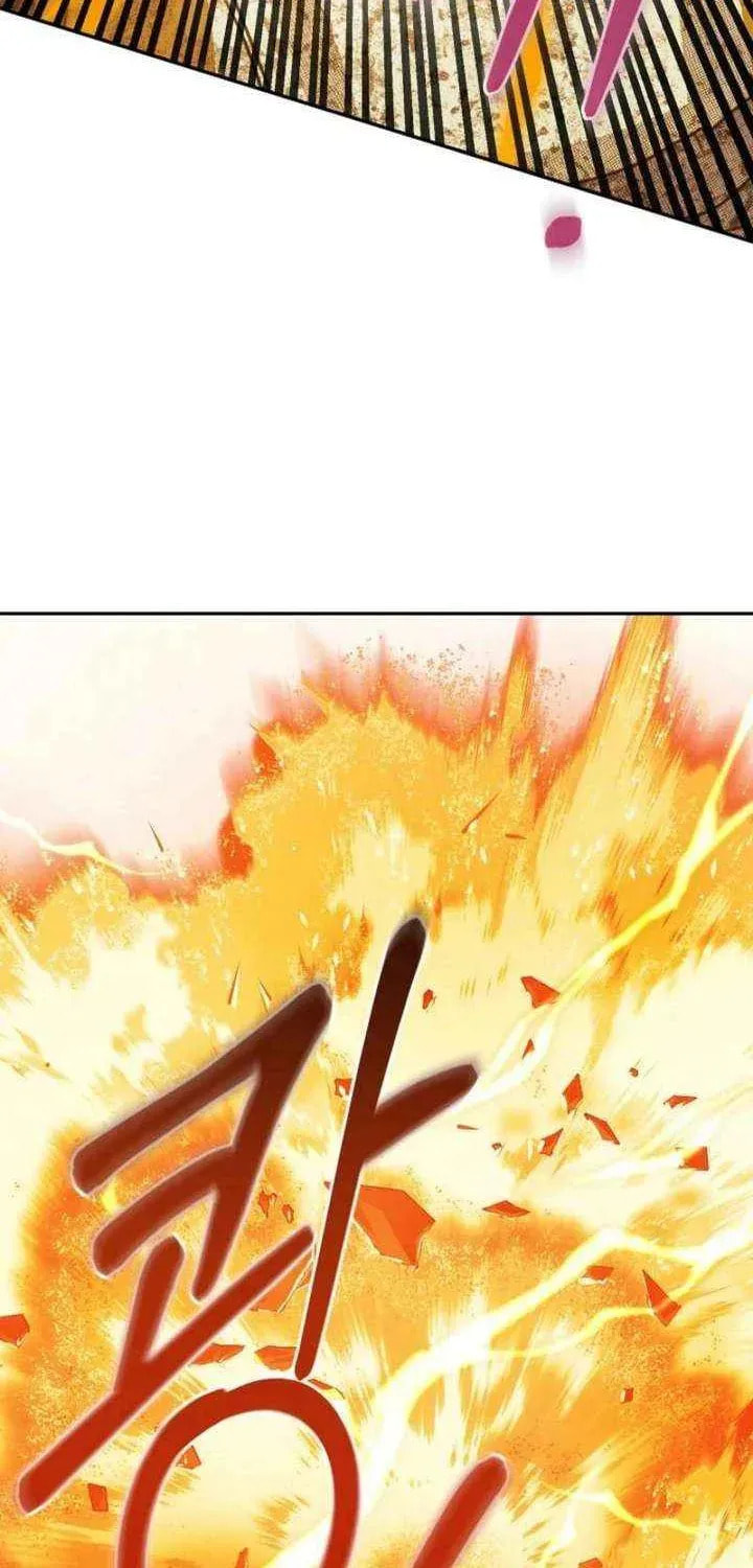 S-Class Spirit Master's Taming Diary Chapter 55 page 17 - 