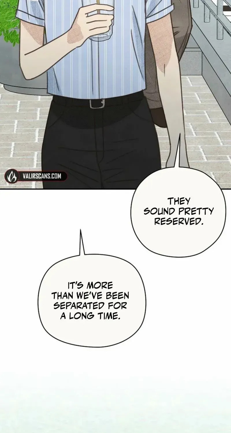 S-Class Spirit Master's Taming Diary Chapter 57 page 43 - 