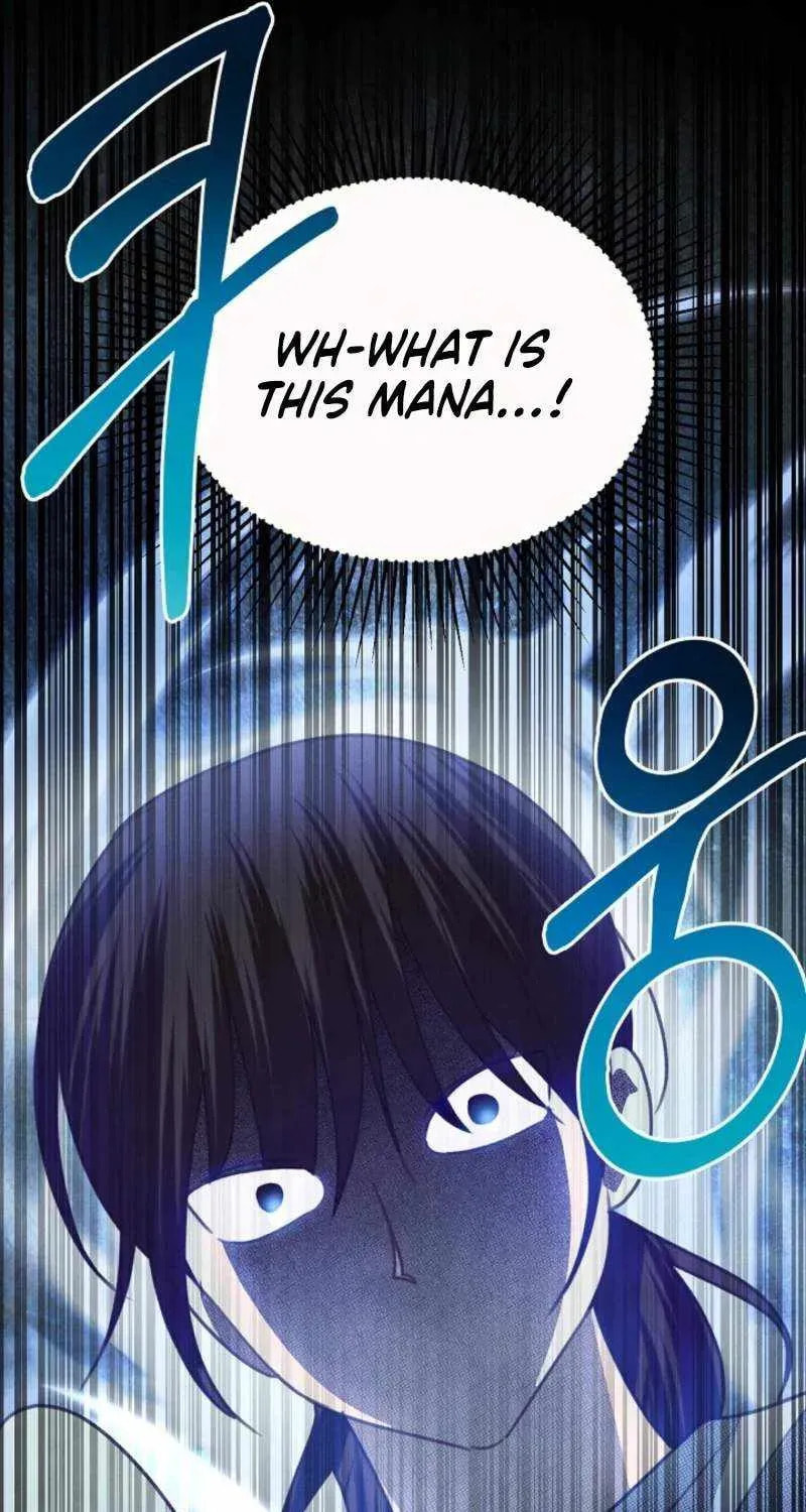 S-Class Spirit Master's Taming Diary Chapter 63 page 102 - 