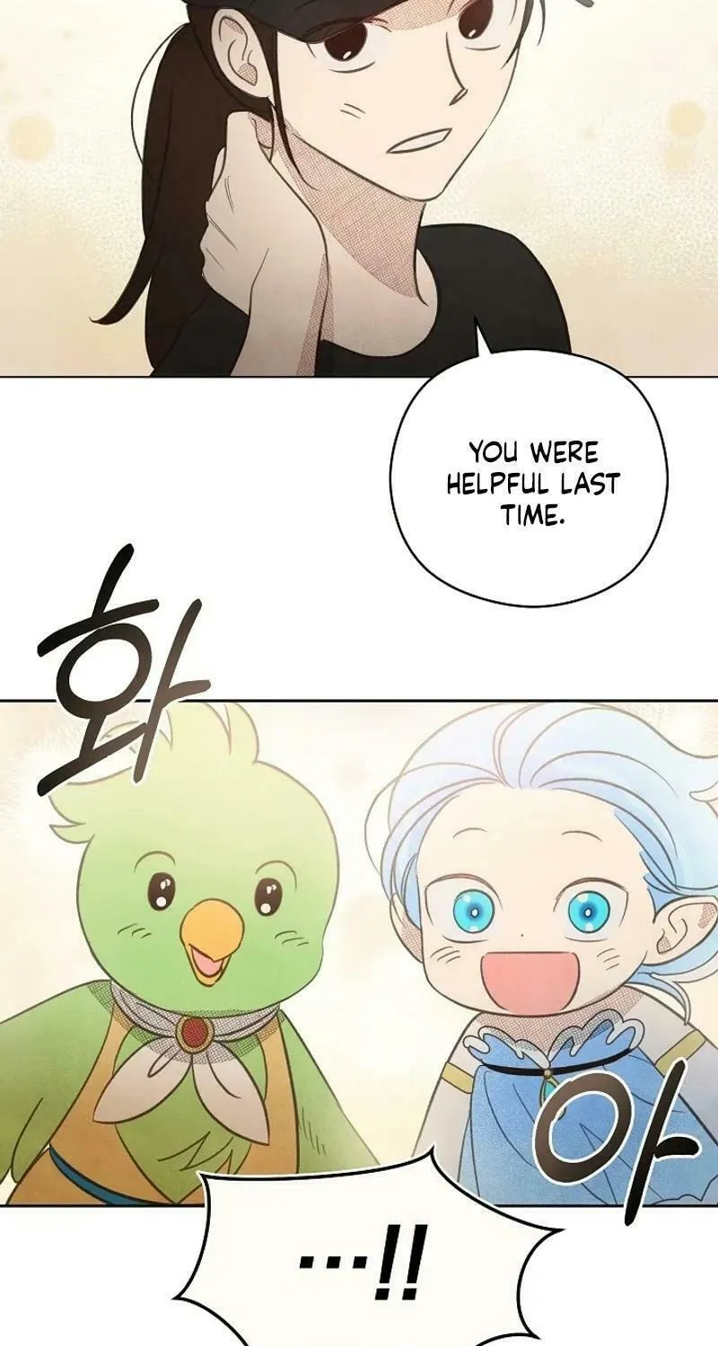 S-Class Spirit Master's Taming Diary Chapter 8 page 27 - 